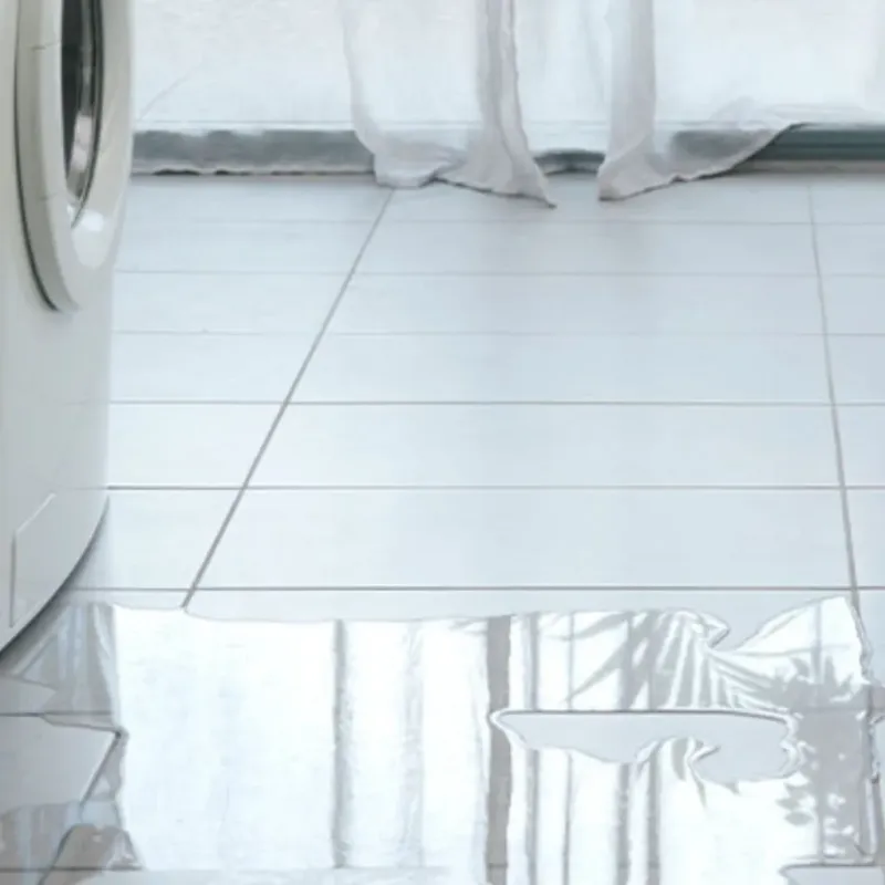 Appliance Leak Cleanup in London, CA