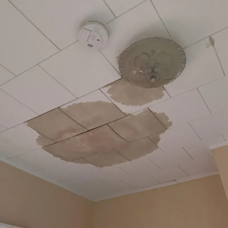 Ceiling Water Damage Repair in London, CA